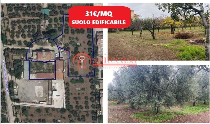 terreno agricolo in vendita a Trani in zona Borgo Medievale