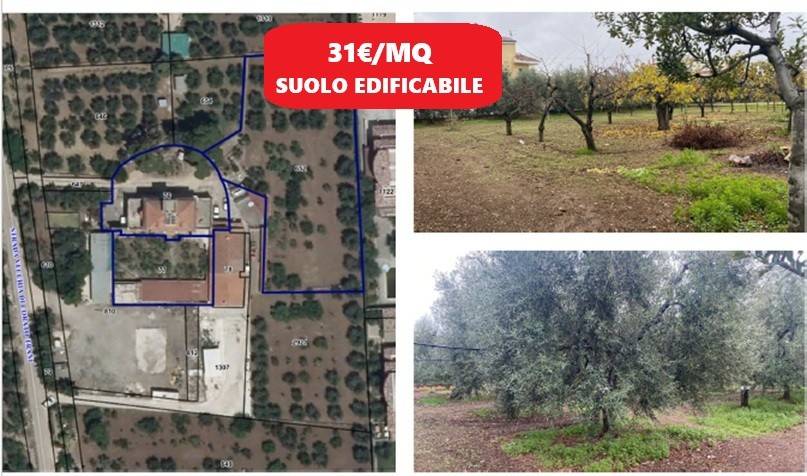 terreno agricolo in vendita a Trani in zona Borgo Medievale