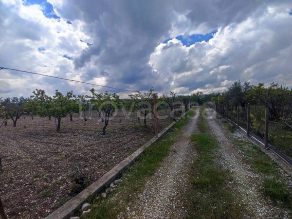 terreno agricolo in vendita a Trani