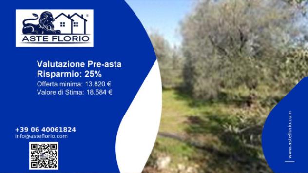 terreno agricolo in vendita a Trani