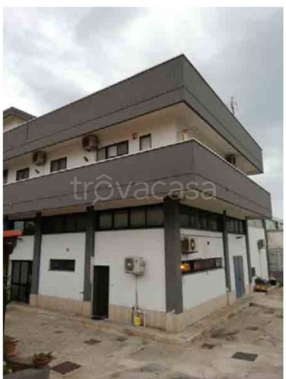 negozio in vendita a Trani