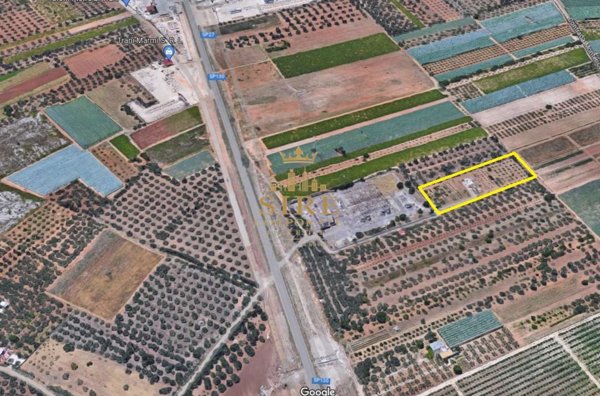 terreno agricolo in vendita a Trani
