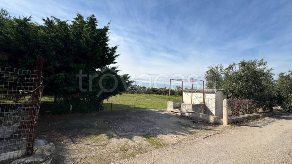 terreno agricolo in vendita a Trani in zona Capirro