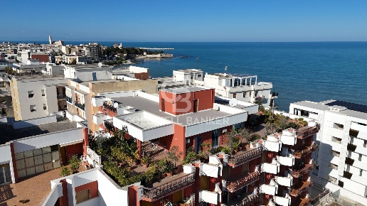 appartamento in vendita a Trani in zona Borgo Ottocentesco