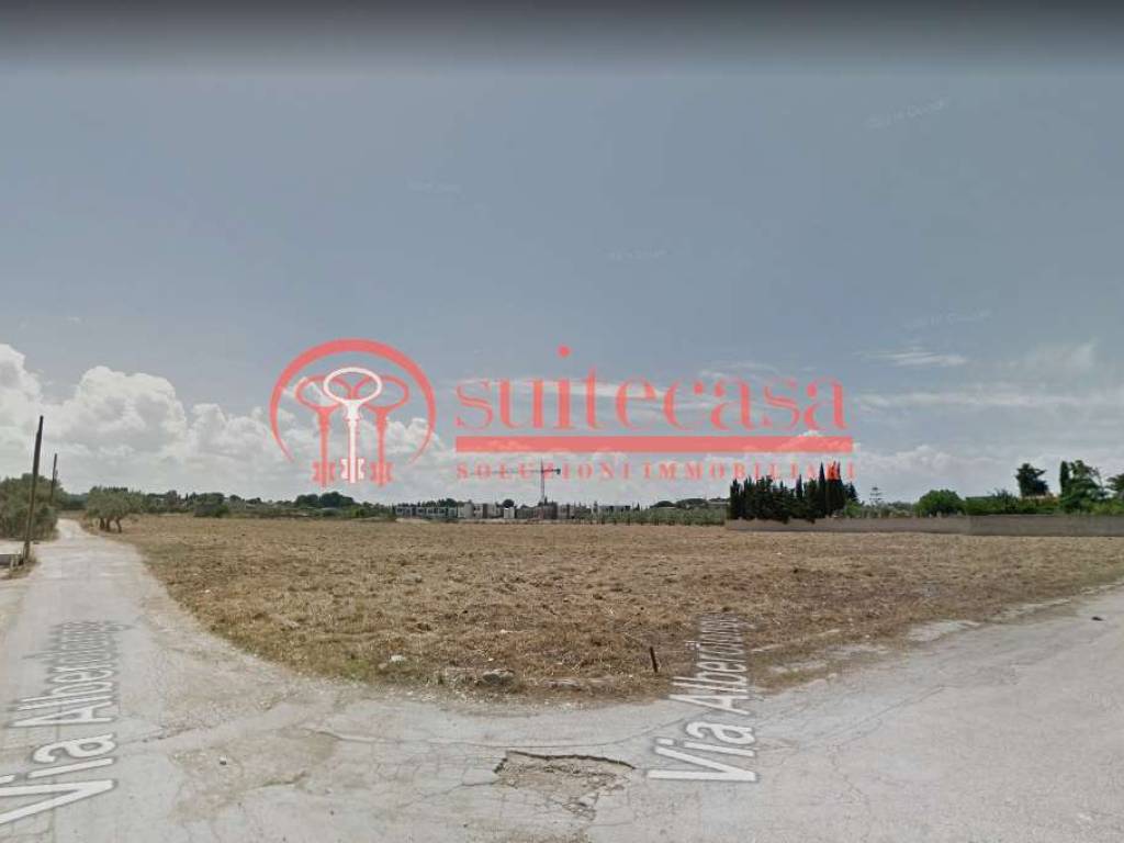 terreno agricolo in vendita a Trani in zona Capirro