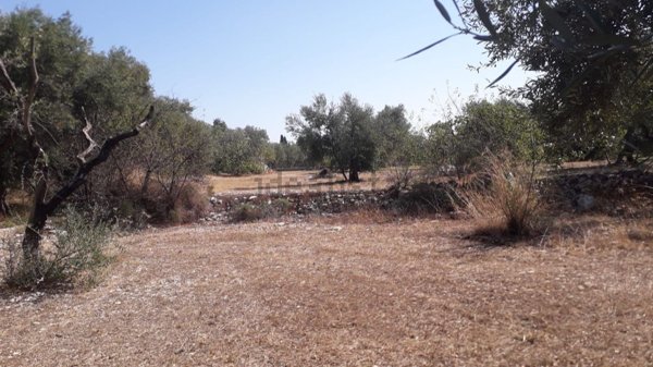 casa indipendente in vendita a Trani in zona Capirro