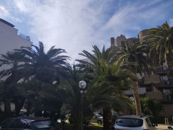 appartamento in vendita a Trani in zona Borgo Ottocentesco