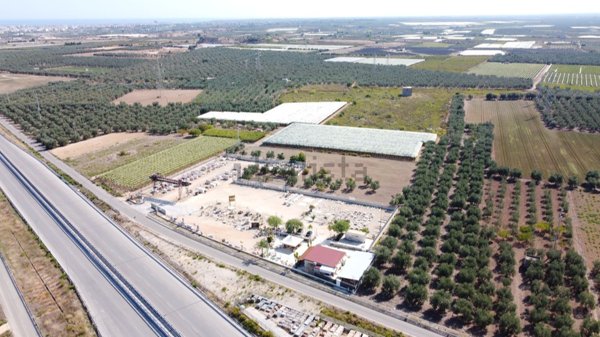 terreno agricolo in vendita a Trani