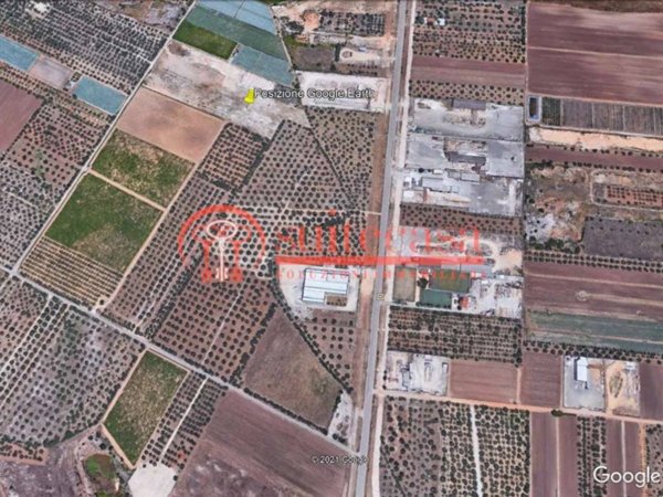 terreno agricolo in vendita a Trani