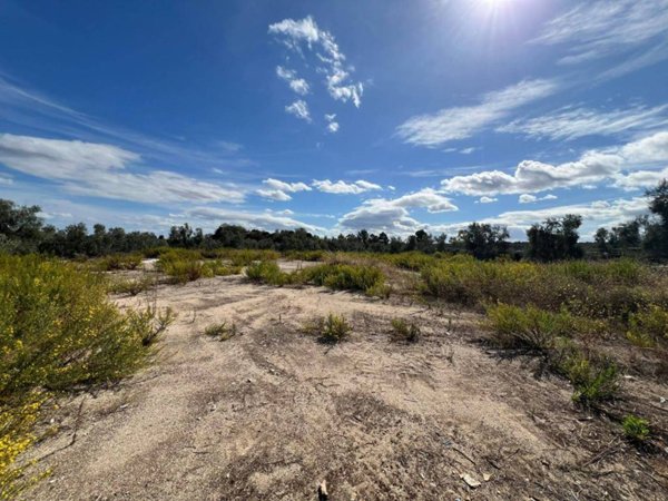 casa indipendente in vendita a Trani