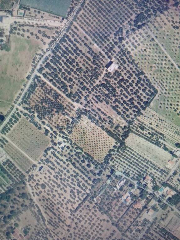 terreno agricolo in vendita a Trani