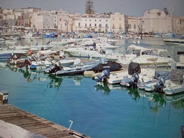 negozio in vendita a Trani in zona Borgo Medievale