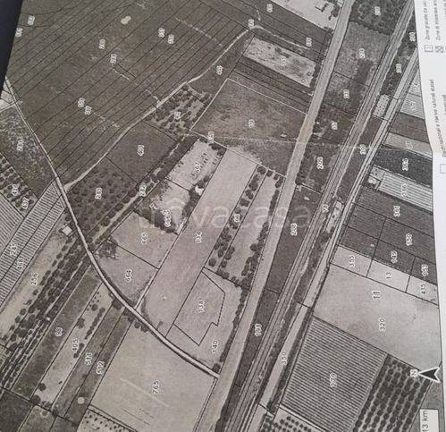 terreno agricolo in vendita a Trani