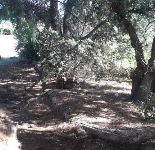 terreno agricolo in vendita a Trani