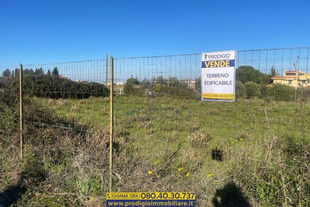 terreno agricolo in vendita a Trani
