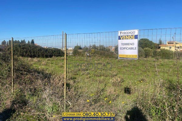 terreno agricolo in vendita a Trani