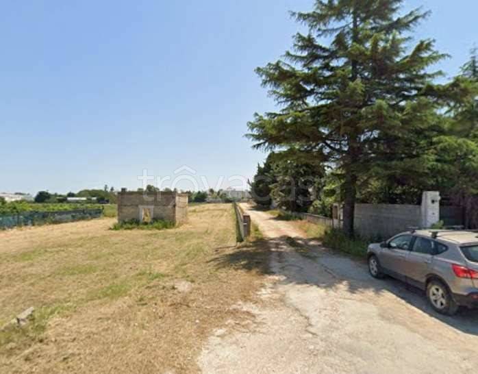 terreno agricolo in vendita a Trani