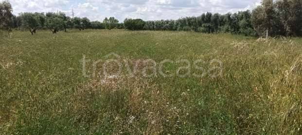 appartamento in vendita a Trani in zona Borgo Medievale