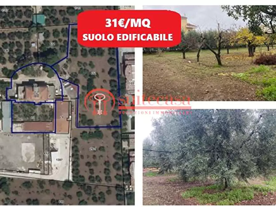 casa indipendente in vendita a Trani in zona Borgo Medievale