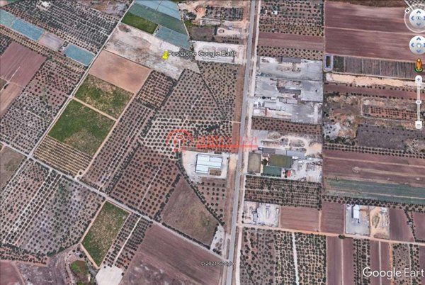 terreno agricolo in vendita a Trani