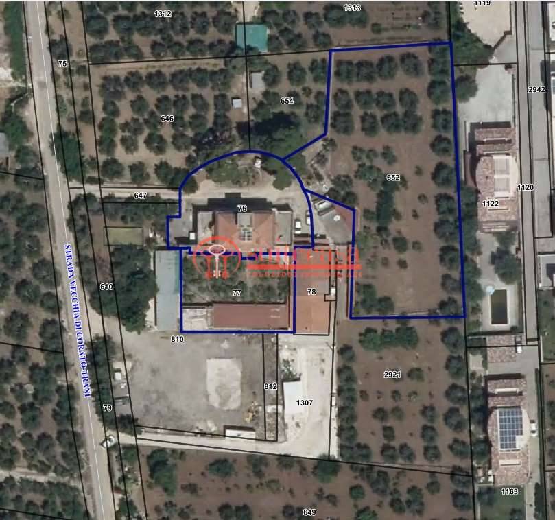 casa indipendente in vendita a Trani in zona Borgo Medievale