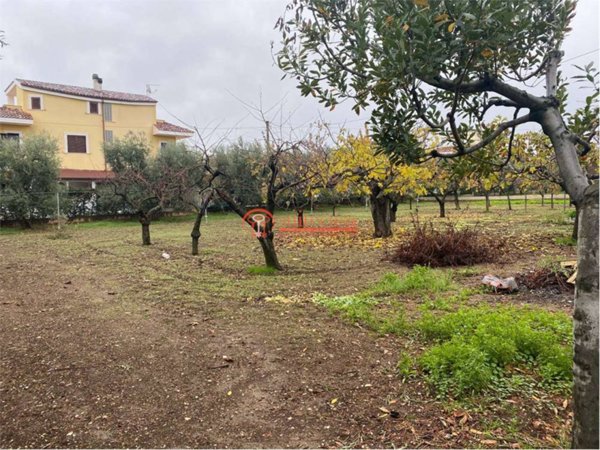 casa indipendente in vendita a Trani in zona Borgo Medievale