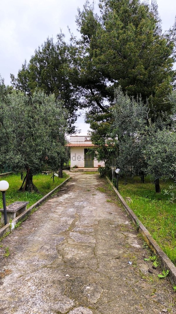 casa indipendente in vendita a Trani in zona Borgo Medievale
