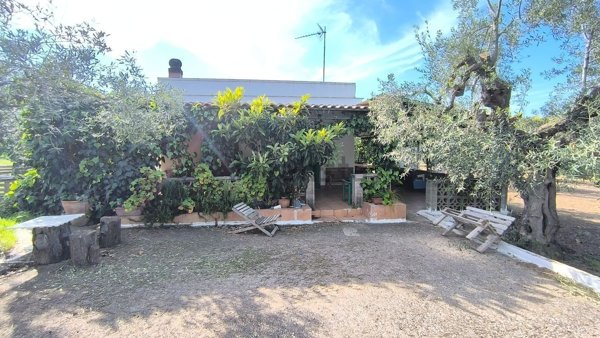 terreno agricolo in vendita a Trani