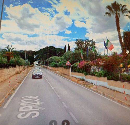 terreno agricolo in vendita a Trani in zona Borgo Ottocentesco