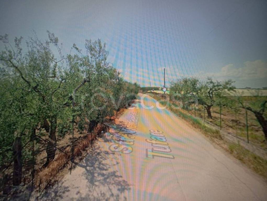 terreno agricolo in vendita a Trani