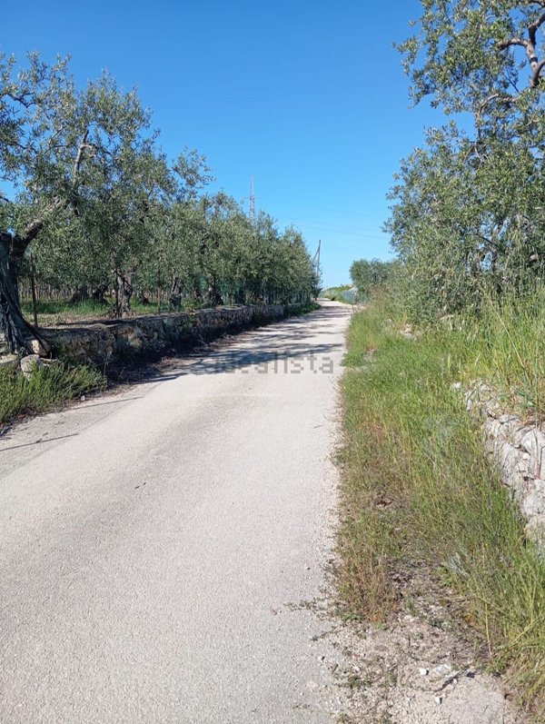 terreno agricolo in vendita a Trani