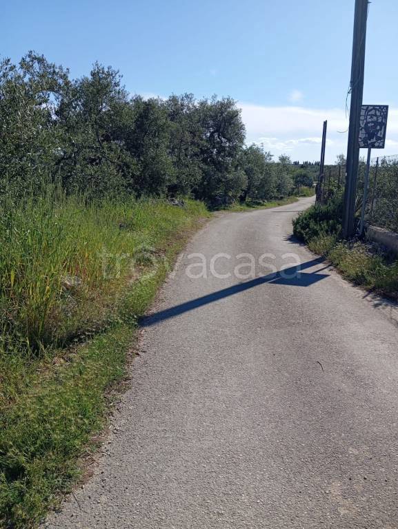 terreno agricolo in vendita a Trani