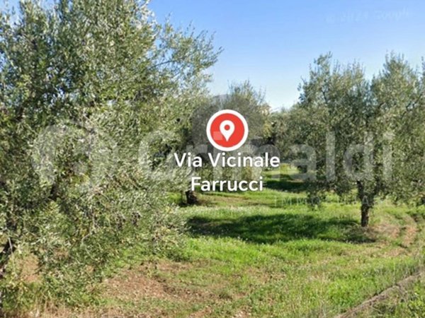 terreno agricolo in vendita a Trani in zona Capirro