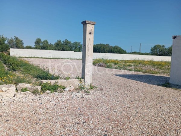terreno agricolo in vendita a Trani
