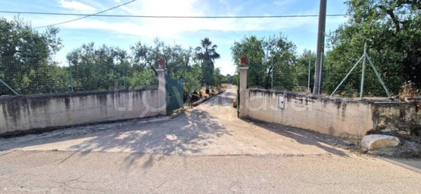 casa indipendente in vendita a Trani in zona Villa Dragonetti