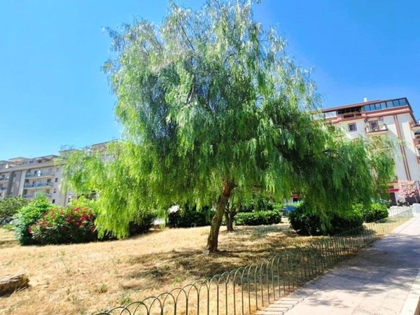 appartamento in vendita a Trani in zona Borgo Ottocentesco