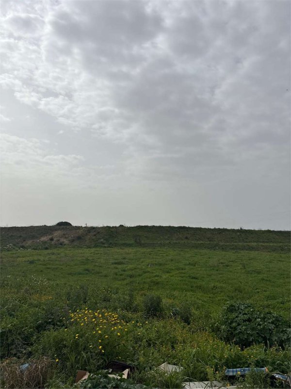 terreno agricolo in vendita a Trani in zona Capirro