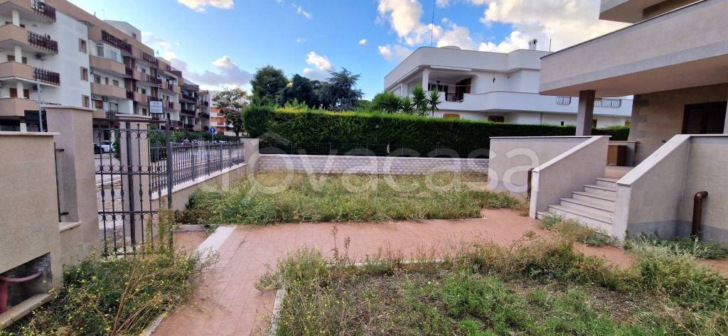 casa indipendente in vendita a Trani in zona Borgo Ottocentesco