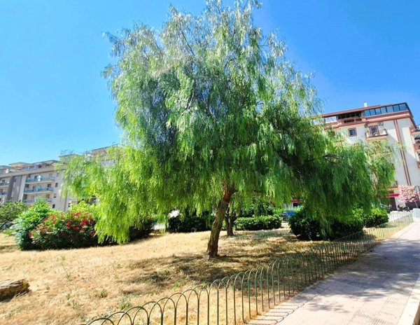 appartamento in vendita a Trani in zona Borgo Ottocentesco
