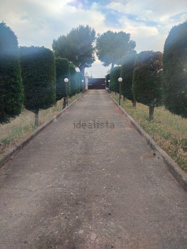 casa indipendente in vendita a Trani in zona Borgo Medievale