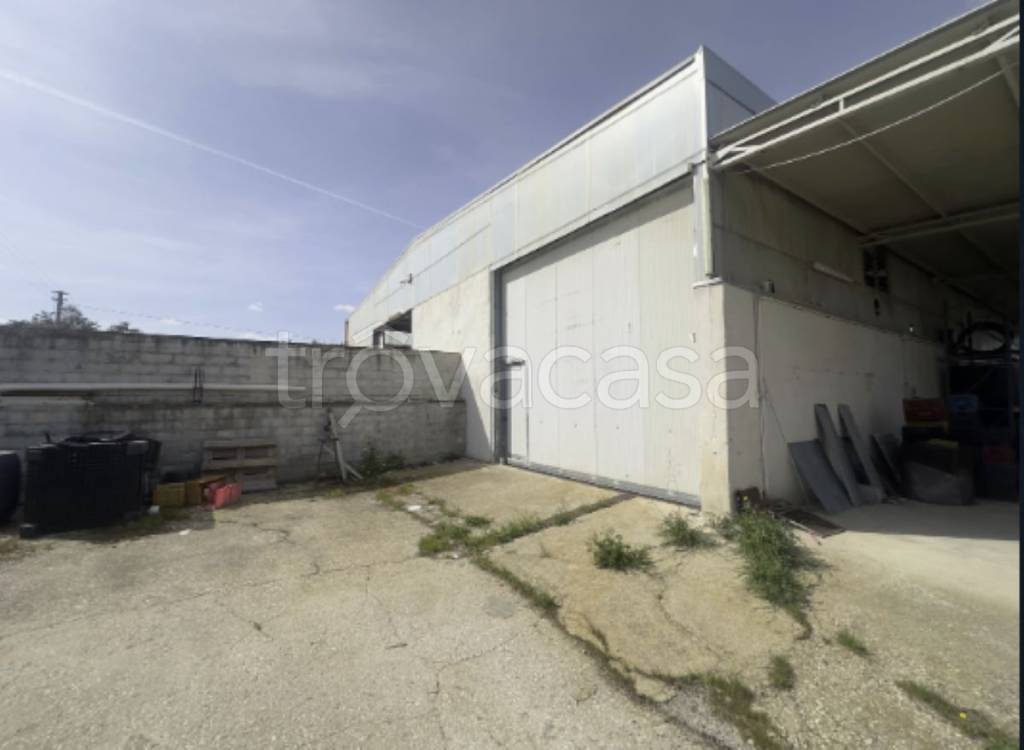 casa indipendente in vendita a Trani in zona Borgo Ottocentesco