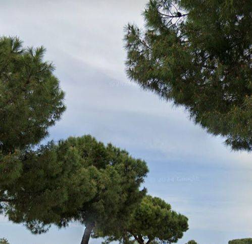casa indipendente in vendita a Trani in zona Villa Dragonetti