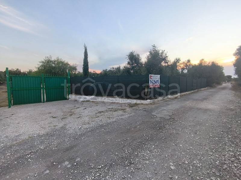 terreno agricolo in vendita a Trani