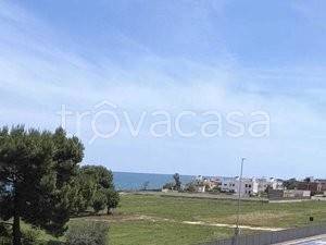 appartamento in vendita a Trani in zona Borgo Ottocentesco