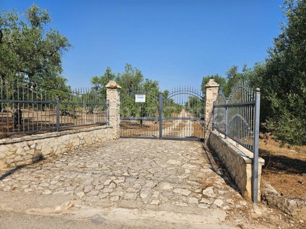 terreno agricolo in vendita a Trani in zona Capirro