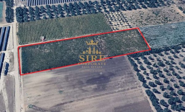 terreno agricolo in vendita a Trani in zona Borgo Ottocentesco