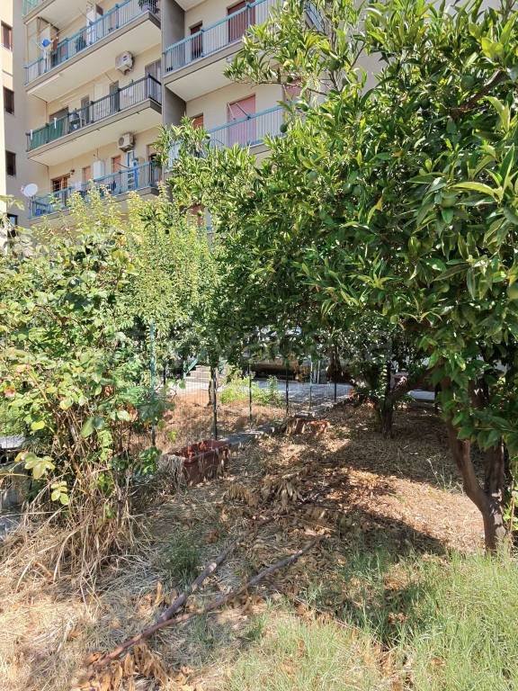 appartamento in vendita a Trani