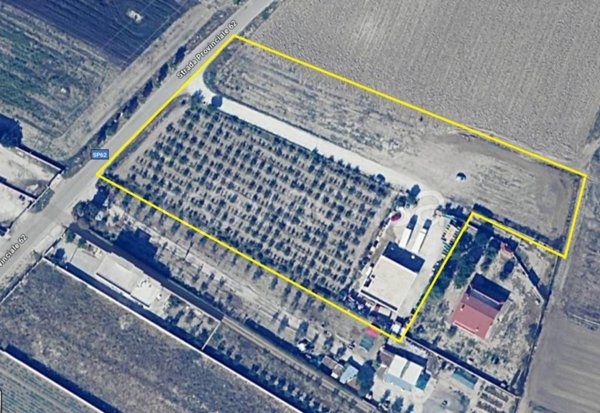 terreno agricolo in vendita a Trinitapoli