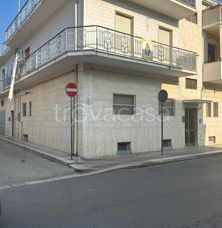appartamento in vendita a Trinitapoli