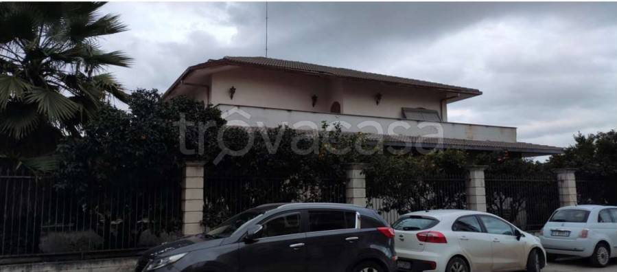 casa indipendente in vendita a Trinitapoli